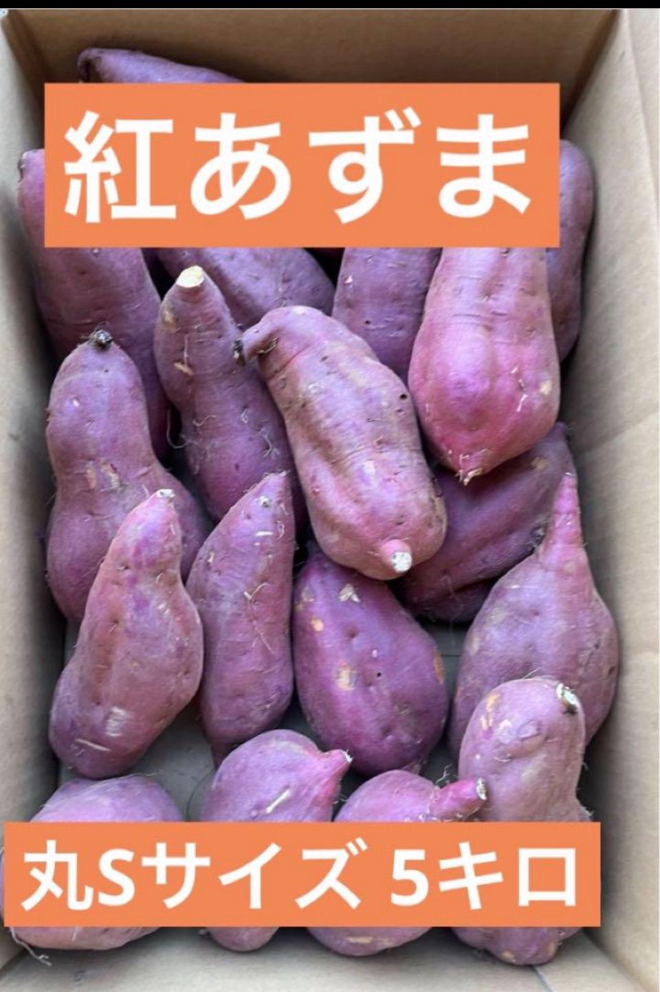 茨城産　紅あずま 丸S【箱含む5キロ 】お買取の品