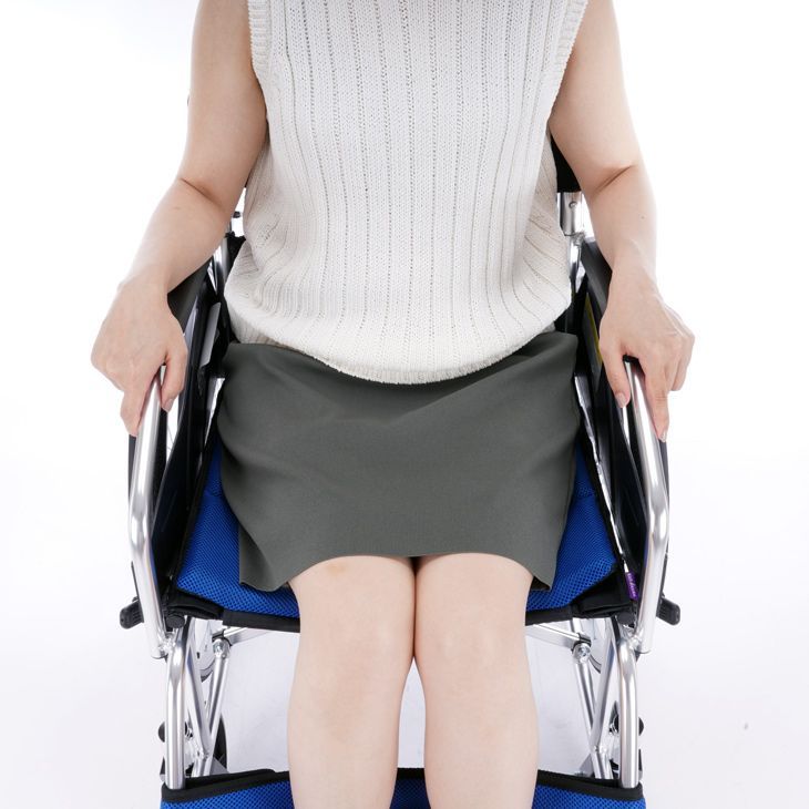 自走式 チャップス