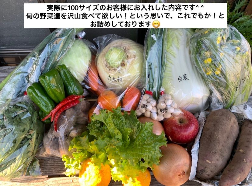 まるで仕送り便】茨城県産旬の野菜・果物詰め合わせBOX　100サイズ　植物/観葉植物