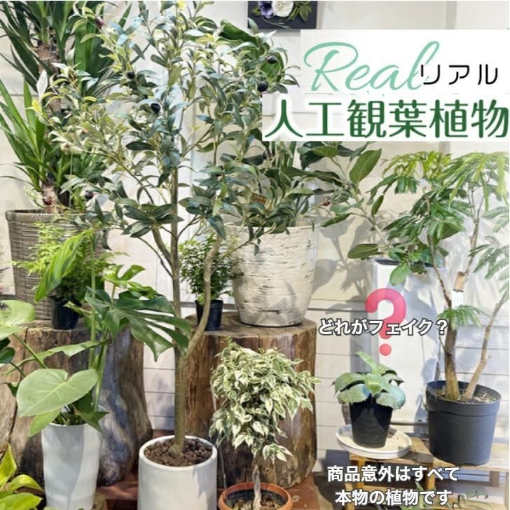 フェイクグリーン 大型 パキラ リアル 人工観葉植物 120cm 装飾 2752 フェイクグリーン 大型 パキラ リアル 人工観葉植物 120cm 装飾