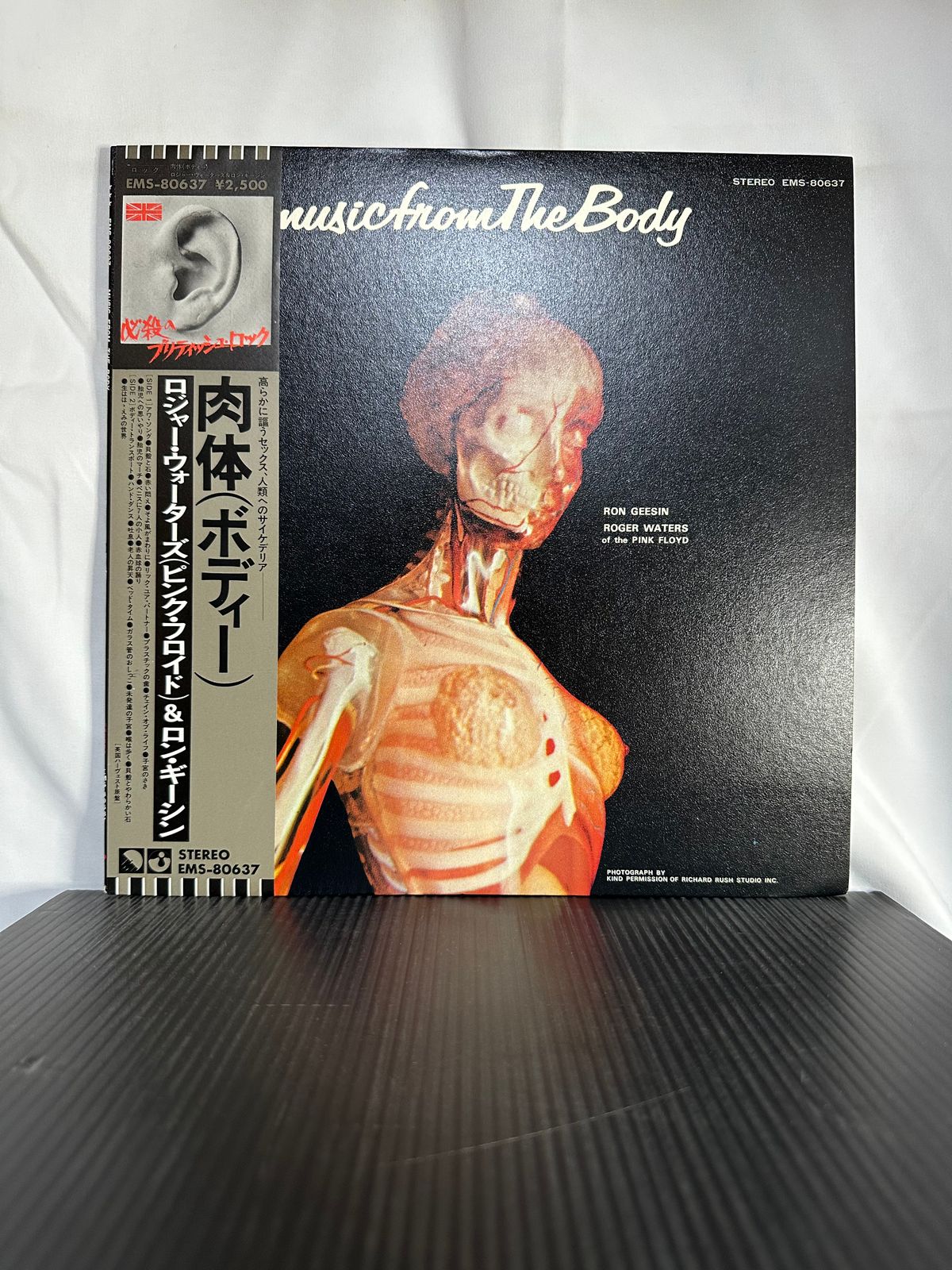 Music From The Body