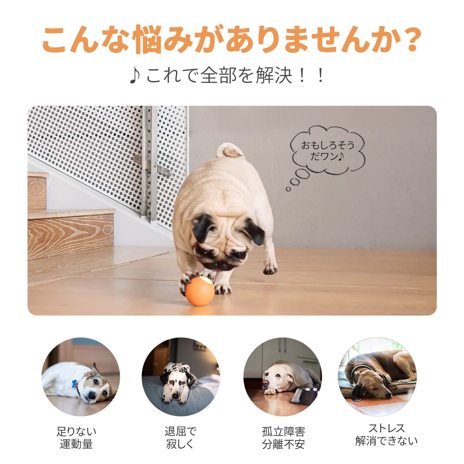 犬用ボール ⭐️ 電動 スマートボール 光るボール 留守番おもちゃ