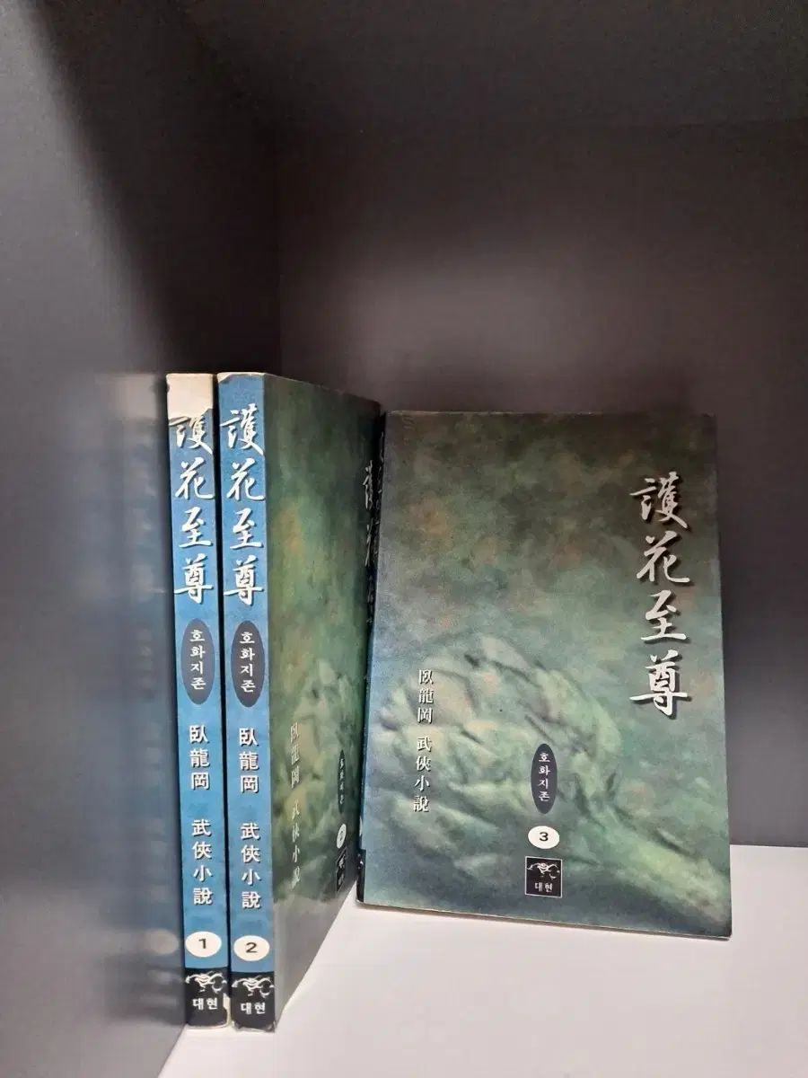 名著出版 近世漢方医学書集成21〜23 本間棗軒 内科秘録(1)/(2)等 1979 計3冊 114R3D 本間棗軒 （近世漢方医学書集成 21～23）( 大塚 敬節／矢数