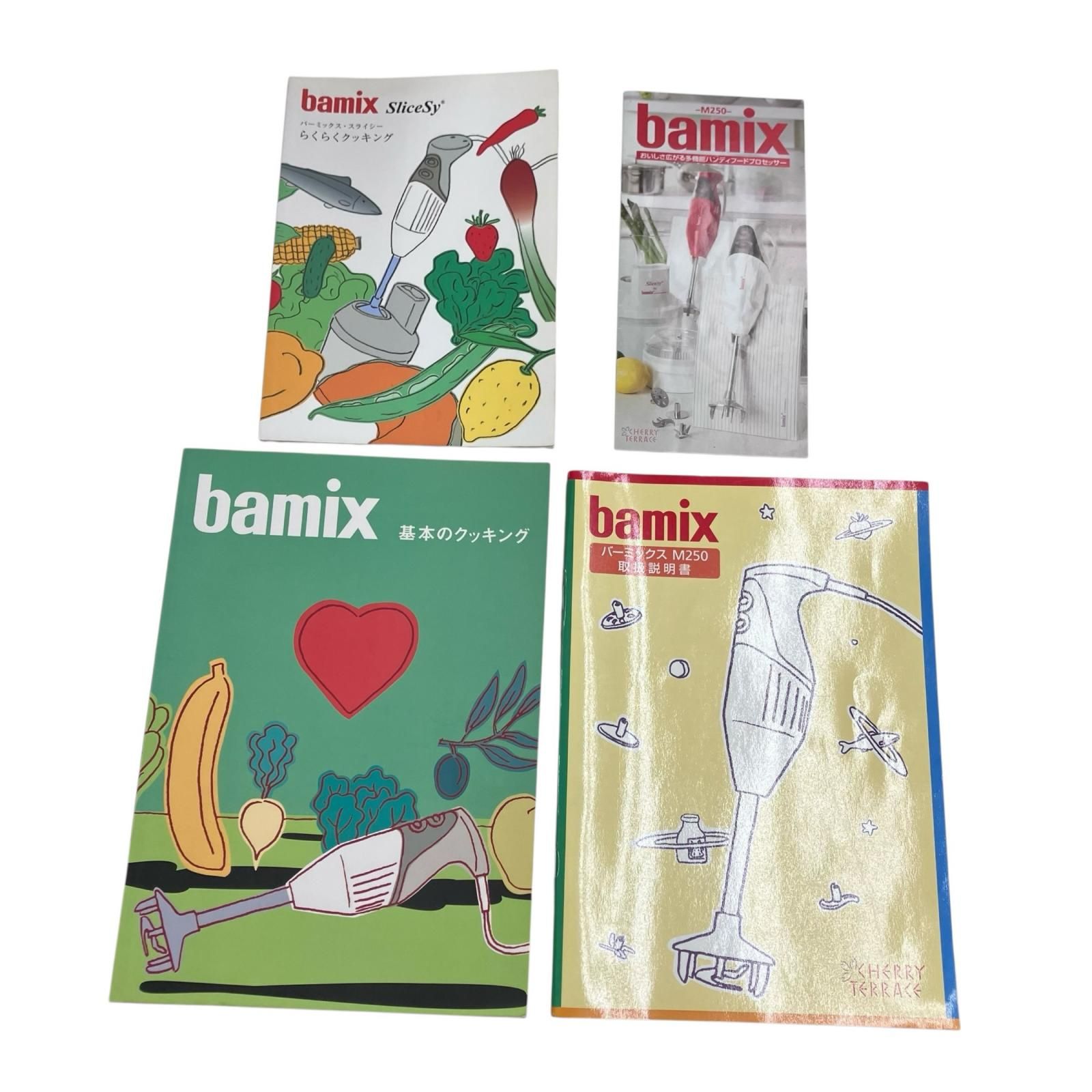 ハンディフードプロセッサー M250