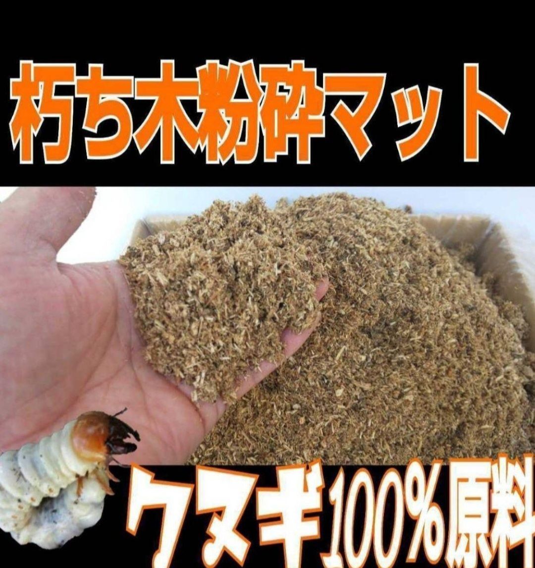 8袋 クワガタ