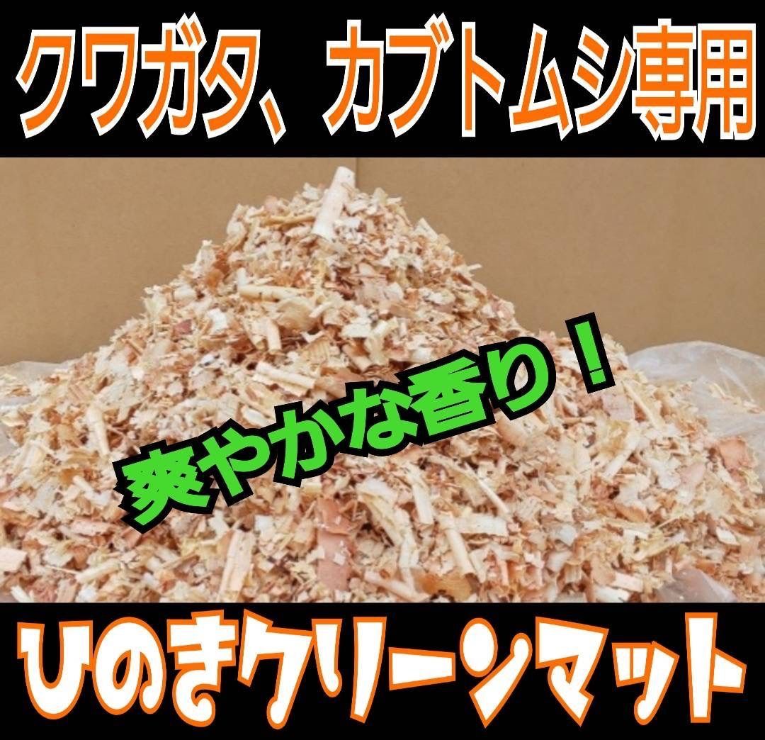 カブトムシの成虫管理に最適！ ふわふわ！爽やかな香りの針葉樹マット ケース内が