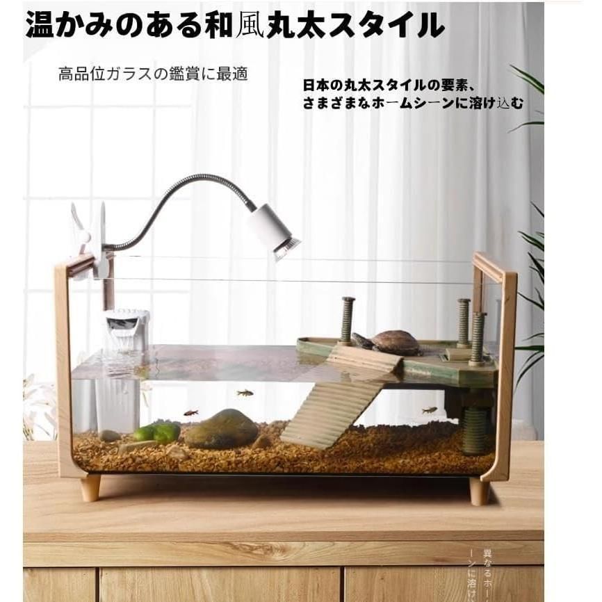 カメの生息地