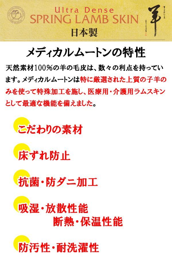 ベルト部