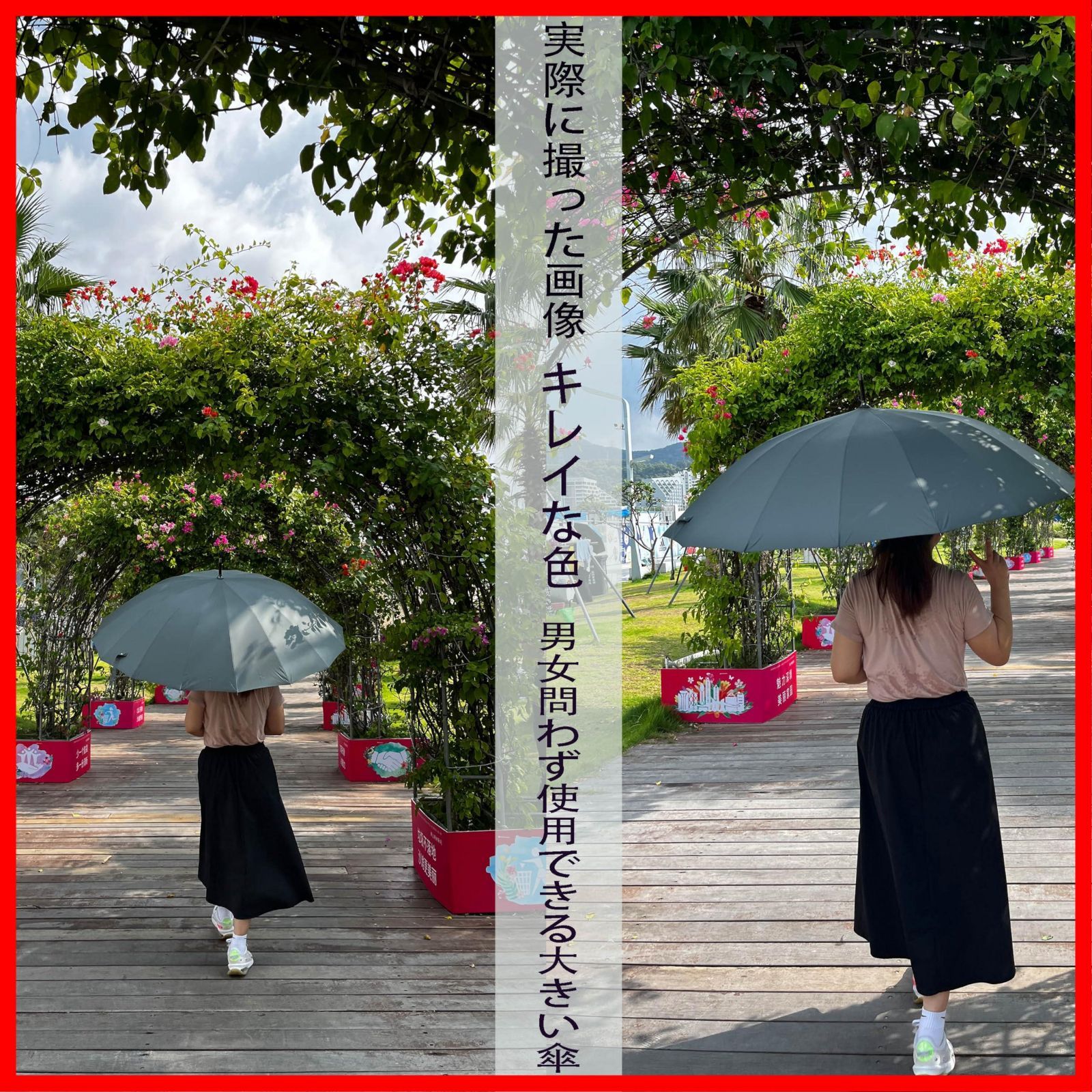 大きい雨傘 新緑