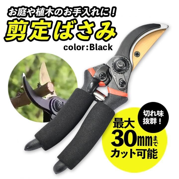 昌国No.8036 白染コブ切小盆栽道具