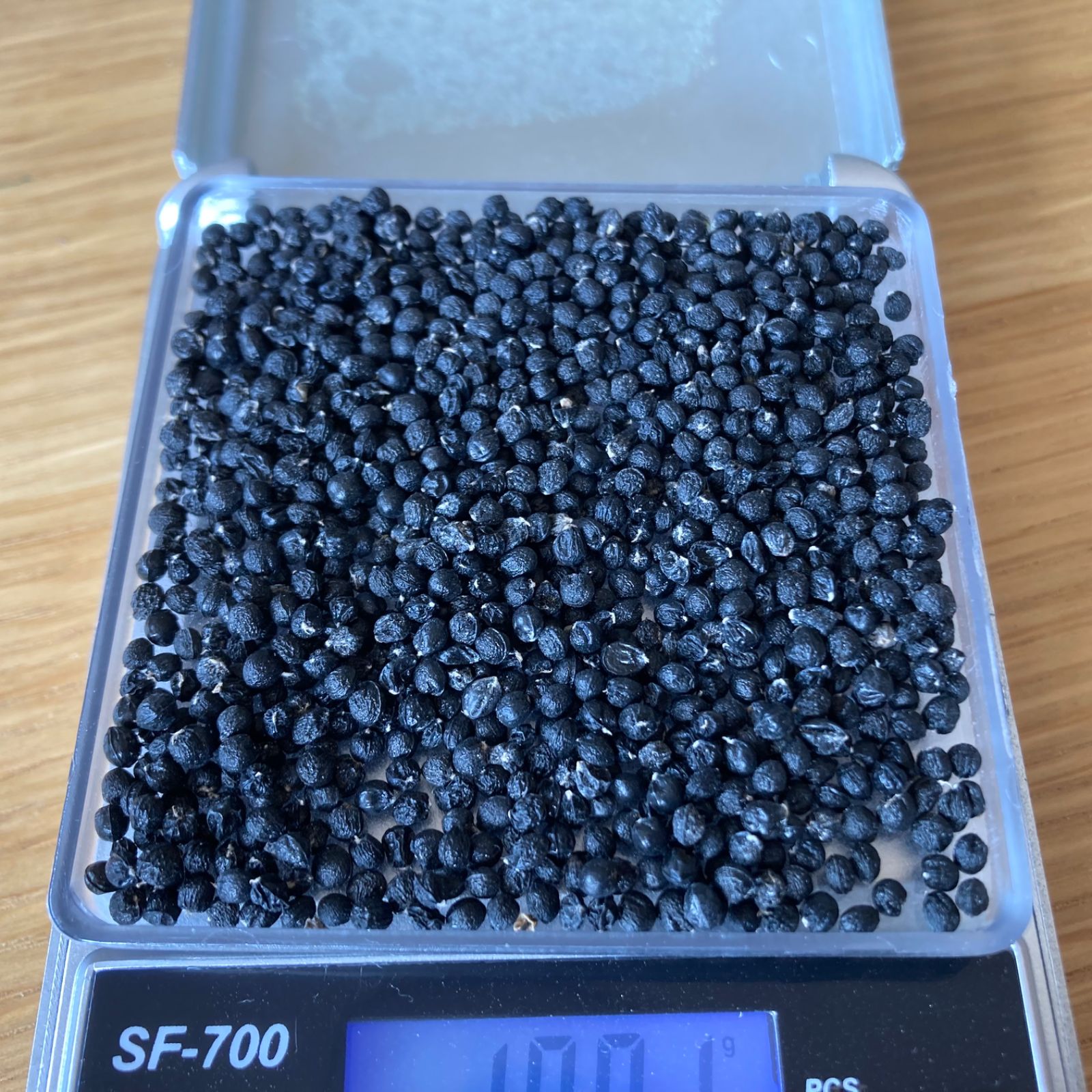 採れたて行者ニンニク　スーパーフード 楽天市場】【セット割50円引き】 北海道 北の大地の行者