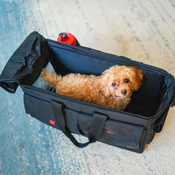 rin project リンプロジェクト BROPET CARRY BAG ブロンプトン ペットキャリーバッグ ブラック