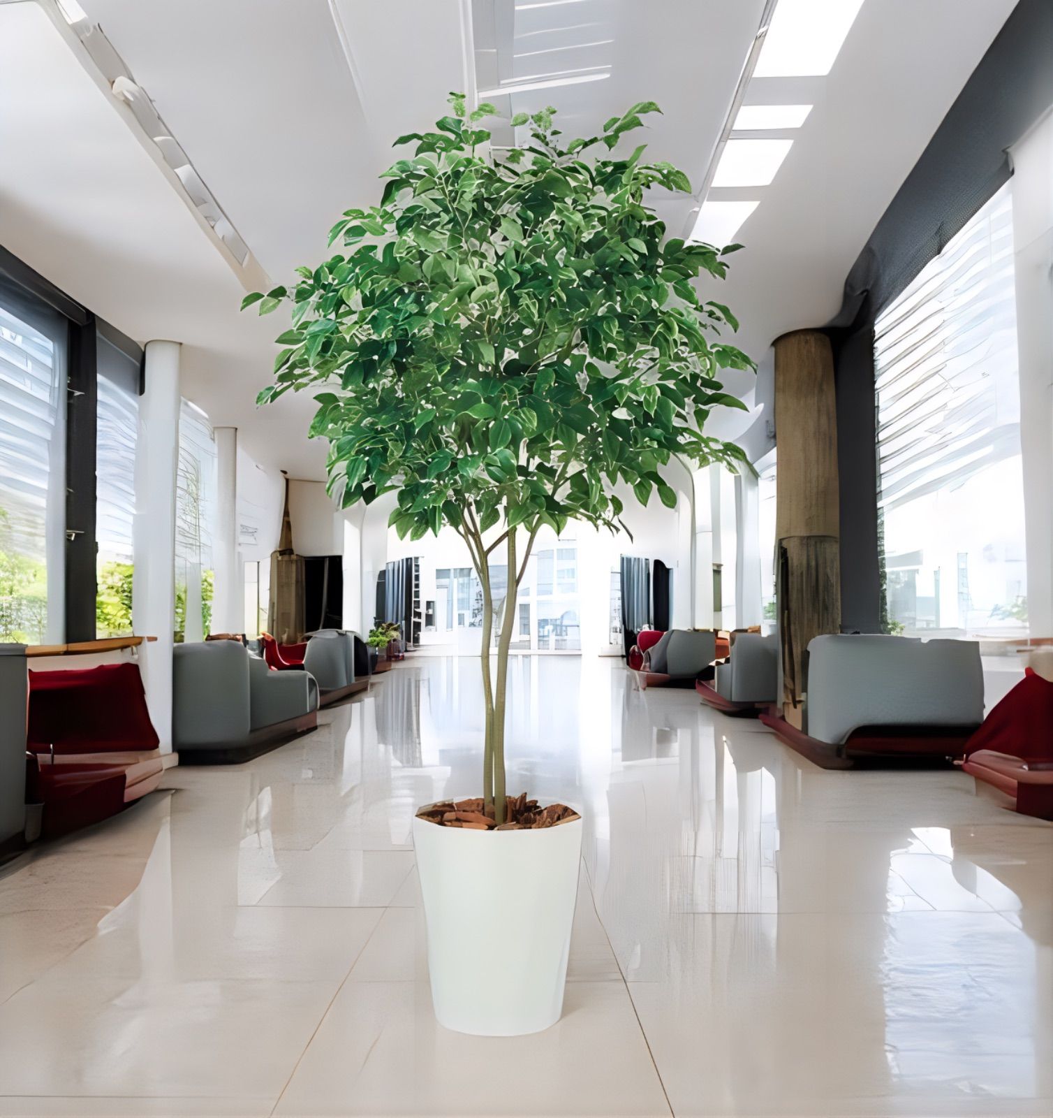 光触媒　人工観葉植物　ウォール　フェイクグリーン　ベンジャミンワイド200FST 光触媒 人工観葉植物 ウォールグリーン フェイクグリーン ベンジャミン