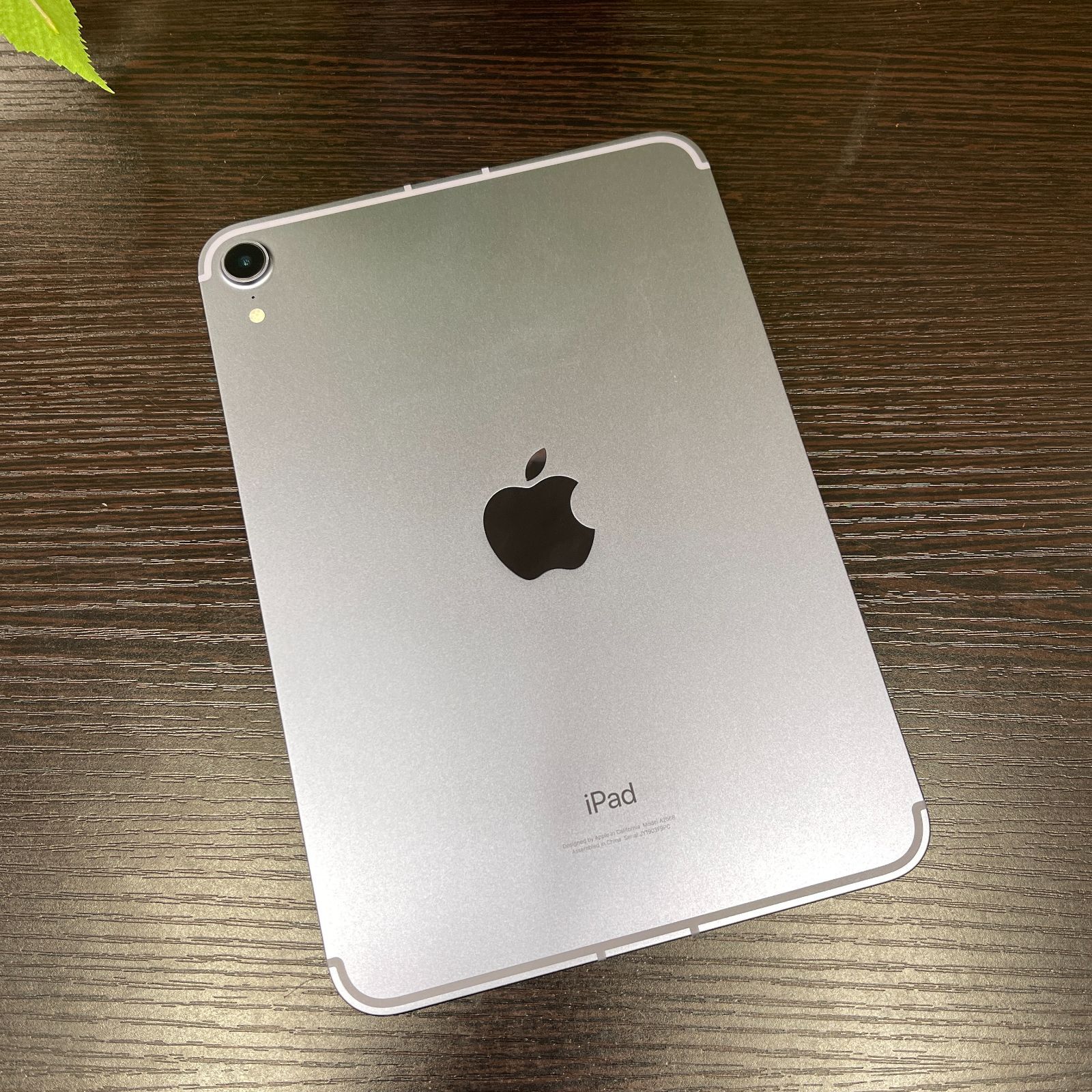 液晶破損】iPad mini6 256GB Cellularモデル SIMフリー アク