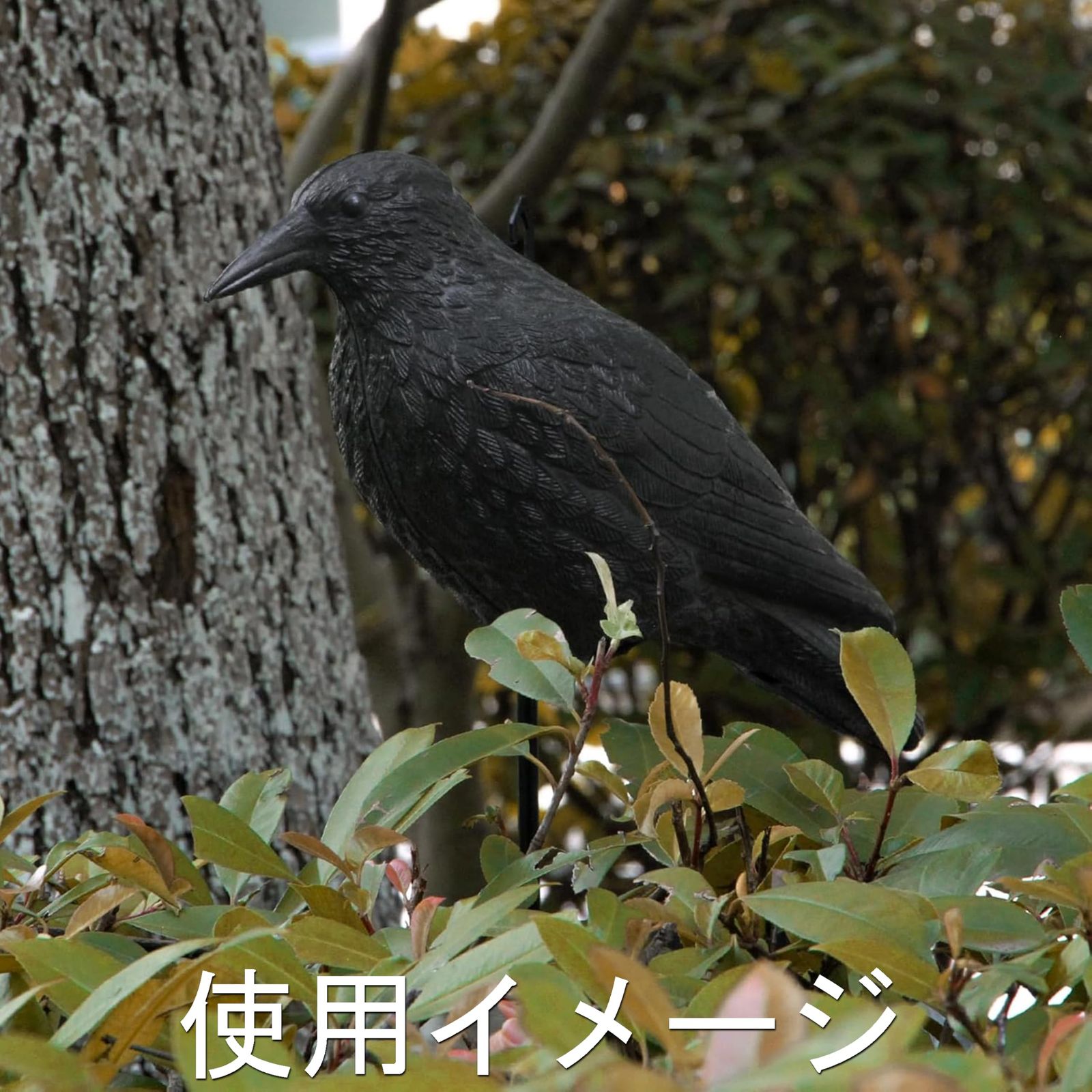 akindou カラスよけ