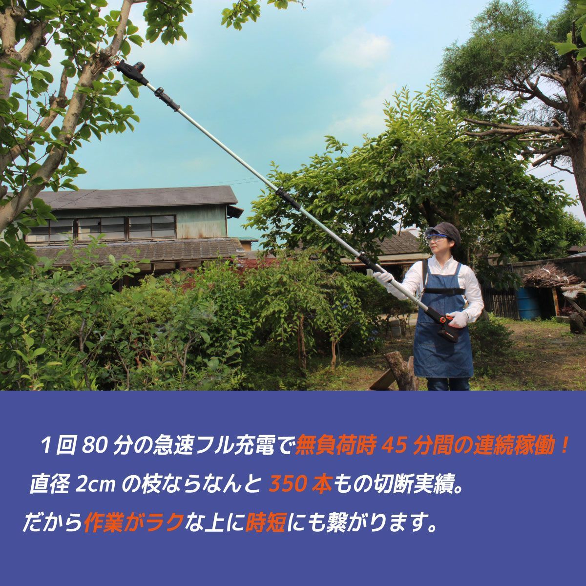 YARD FORCE 24 V 3 m高枝電動のこぎりライトPro ブラシレスモーター 型番 LSC 21 PA JP Aランク 在庫あり 日常管理用