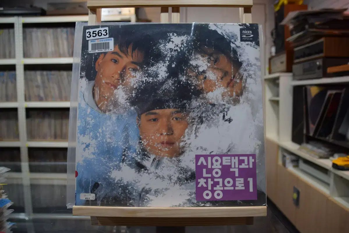 信用宅 シンヨウタク と 空へ 1 家 ミント 野良犬