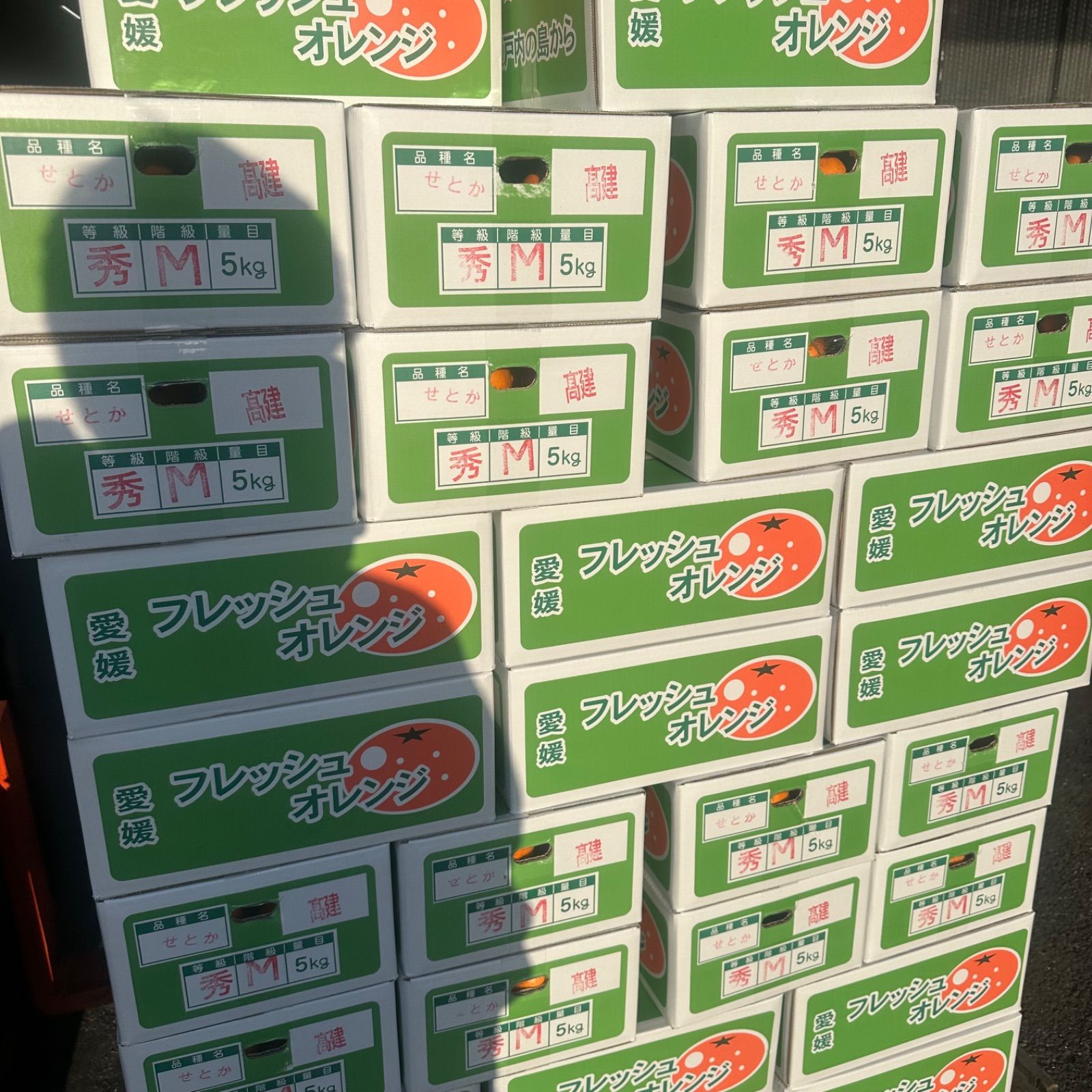 4箱20キロ 爆買せとか