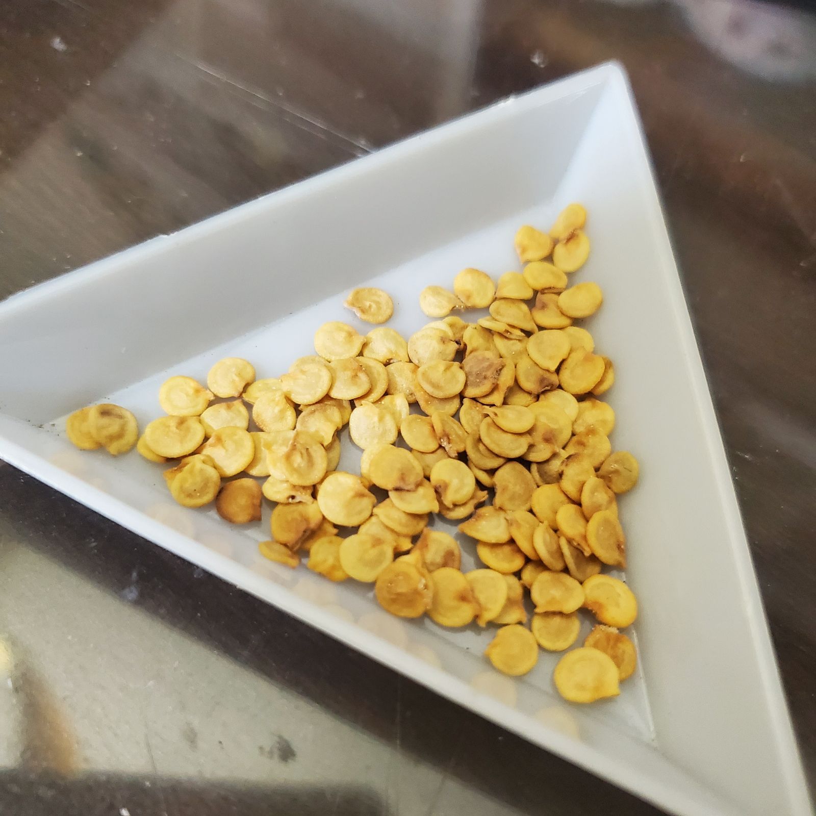 ブロットピーマンの種(自然栽培) - メルカリ