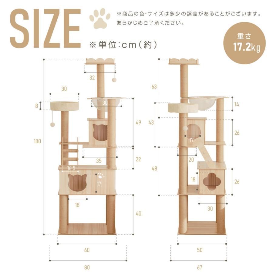 猫用 運動不足
