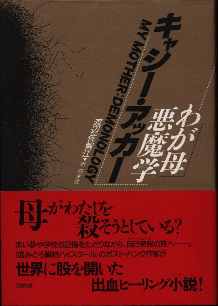 CD全巻（12巻） イングリッシュアドベンチャー 追跡 THE CHASE