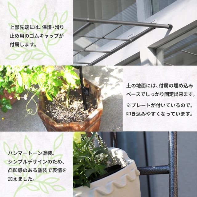 幅110cm×高さ260cm