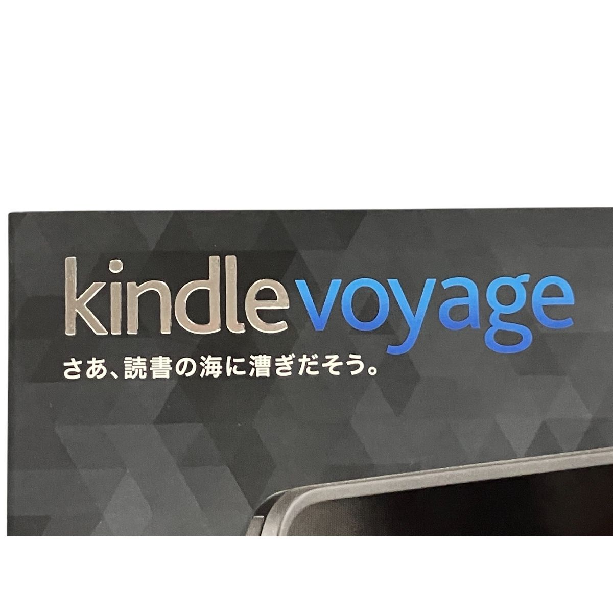 voyage