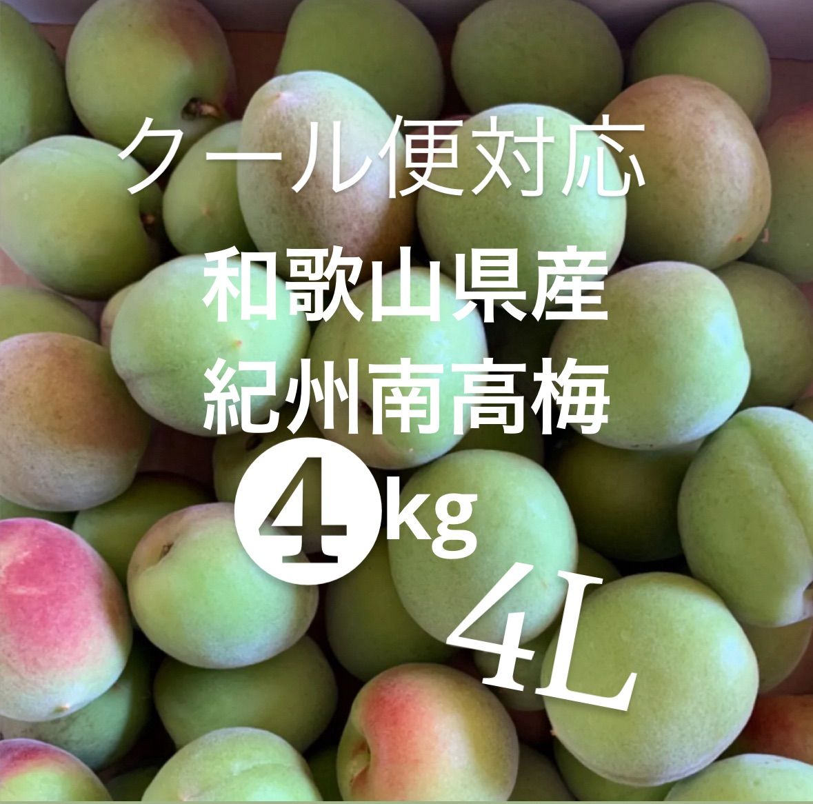 taka様　クール便込み クール宅急便 | ヤマト運輸