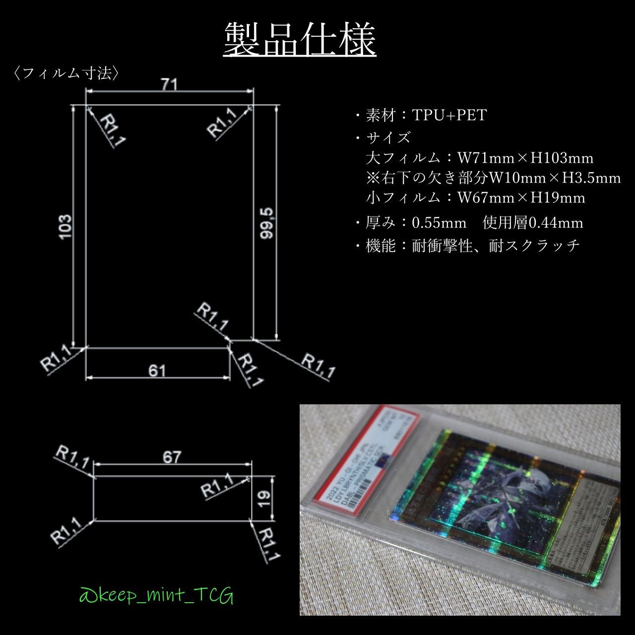 BGSケース2枚分】Case Guard 