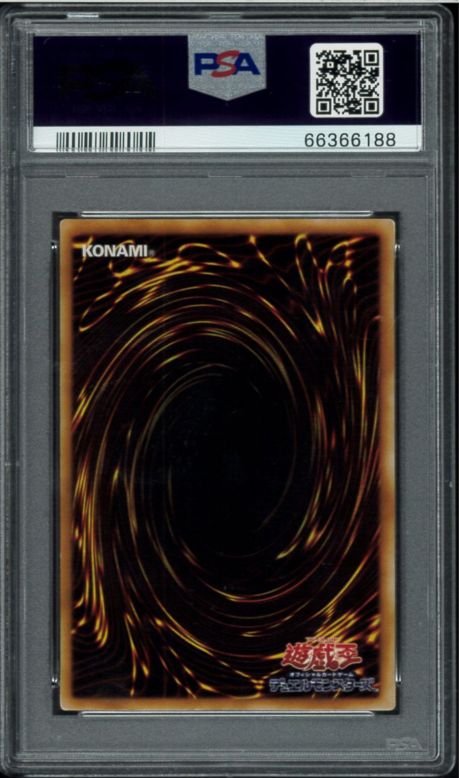 遊戯王　青眼の白龍　初期　ウルトラ　psa8 青眼の白龍 初期 psa」の激安通販 | magi