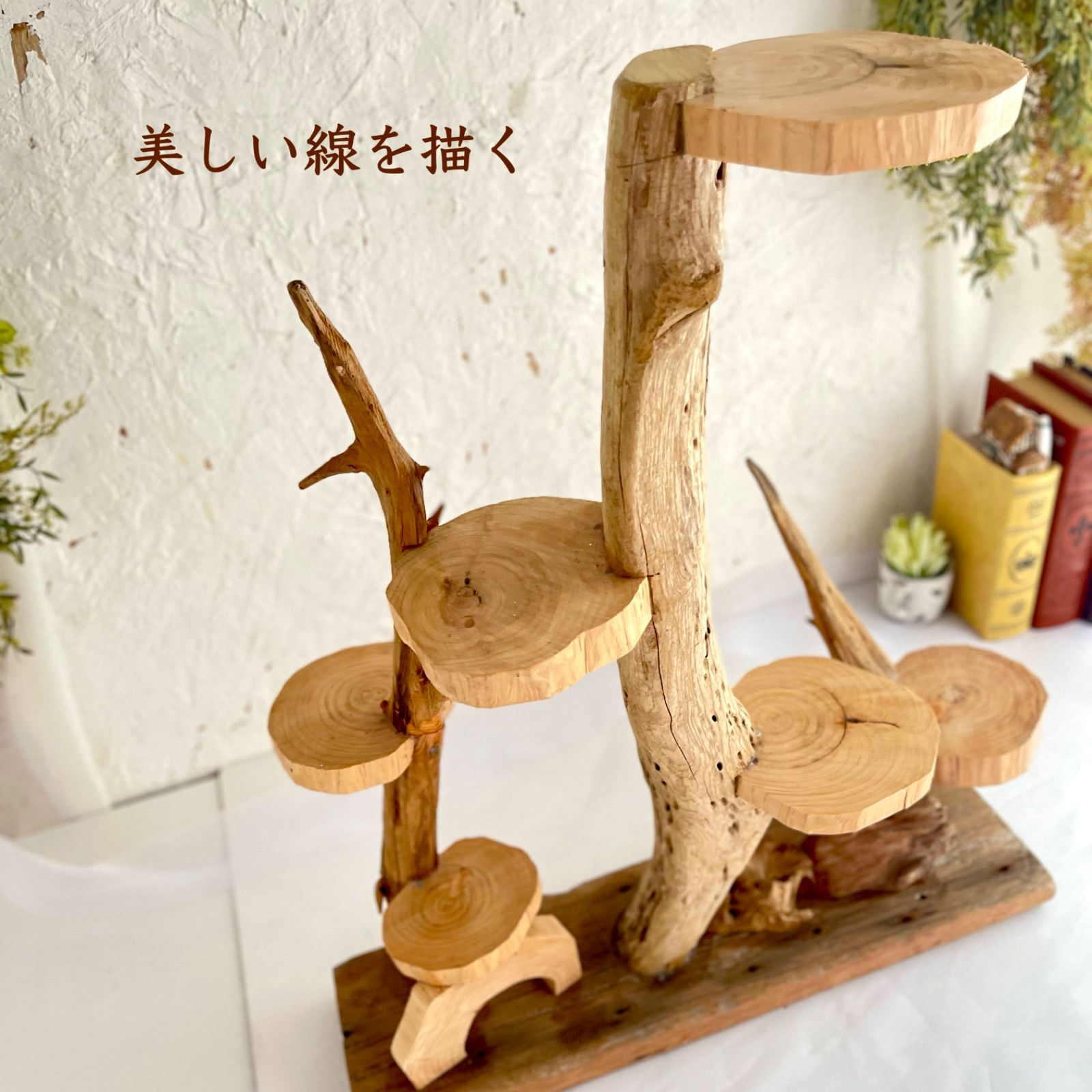 41桧の古木流木