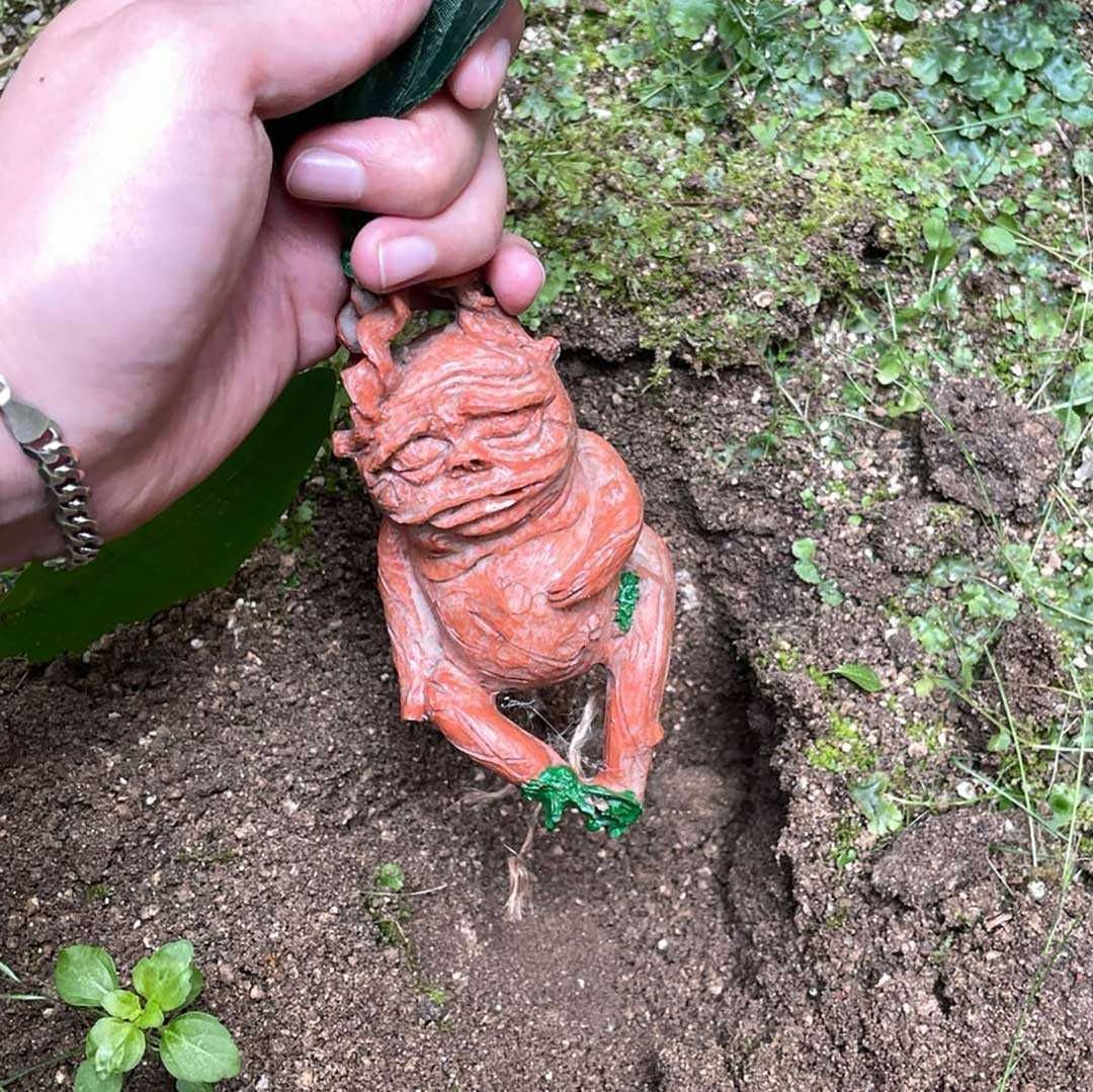 マンドラゴラ 4個セット