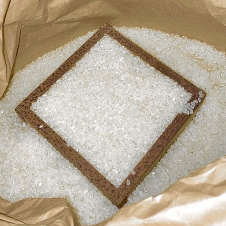 食品 丹波篠山産コシヒカリ【10kg】白米 /玄米 令和7年産 / 減農薬