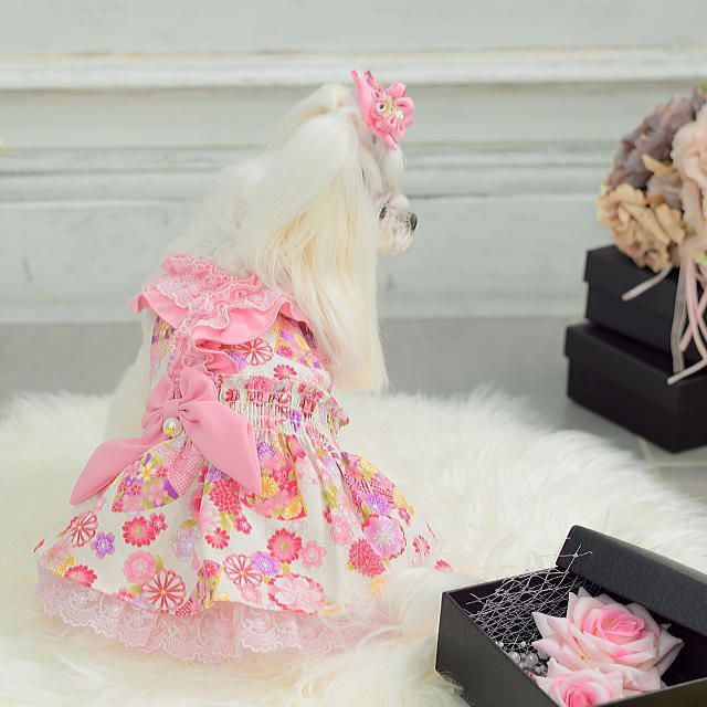 【新品】CanNana キャンナナ　犬服　ドッグウェア　ワンピース CanNana 犬服 ワンピース フリフリ おしゃれ 小型犬 春 きゃんナナ 犬