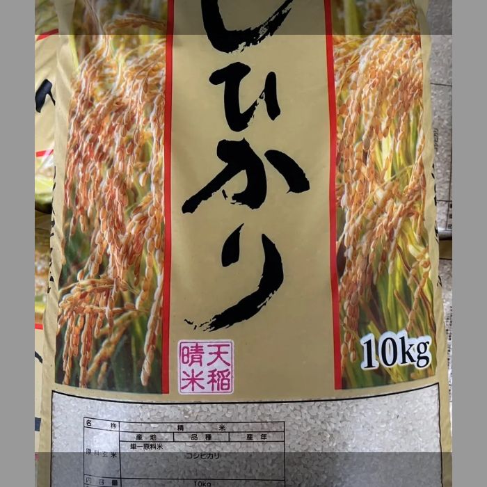 令和6年度産 コシヒカリ 10㎏ X 2 精米