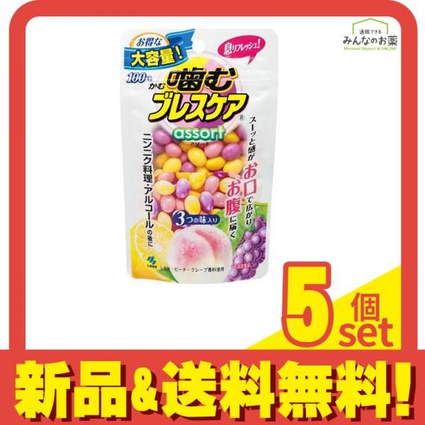 噛むブレスケア パウチ アソート(3つの味入り) 100粒 5個セット まとめ売り