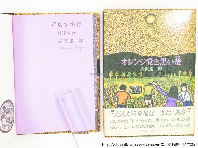 オレンジ党、海へ オレンジ党と黒い釜 闇の中のオレンジ 魔の沼 天沢