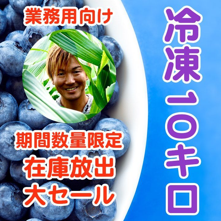 SALE／68%OFF】 冷凍ブルーベリー 10kg asakusa.sub.jp