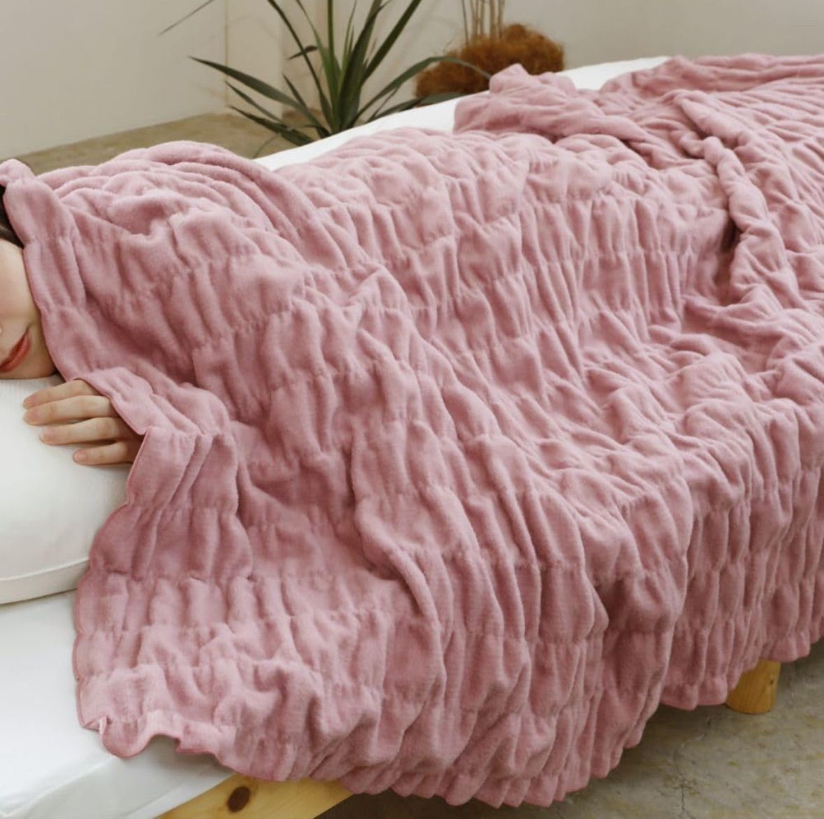 毛布 ブランケット