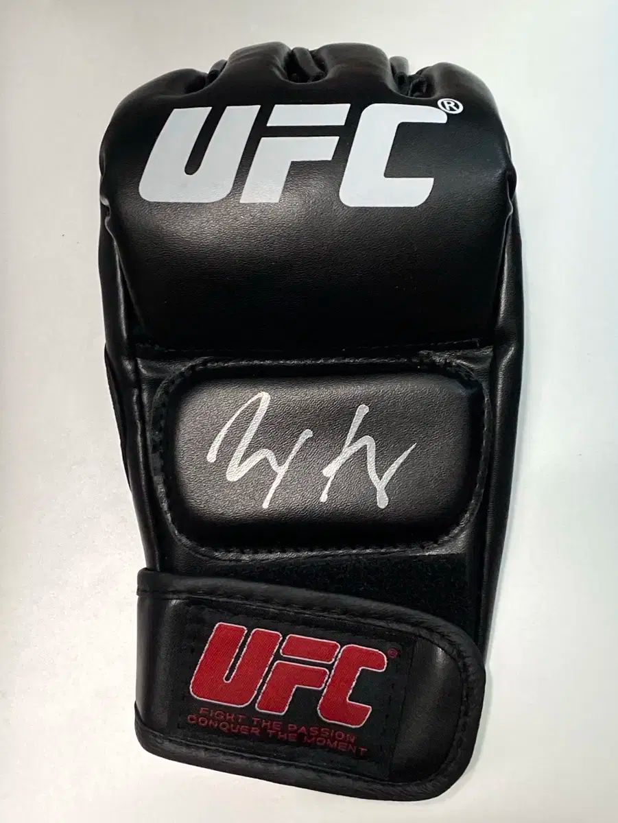 マックス ホロウェイ 直筆 サイン グローブ 超貴重！RIZIN 斎藤裕選手