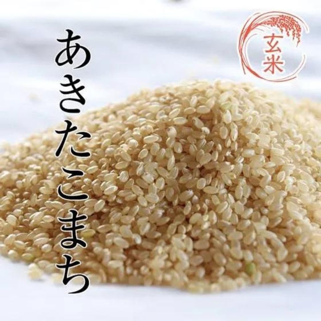 お買い得！めっちゃうまい！淡路島産あきたこまち！新米玄米30kg めっちゃうまい！淡路島あきたこまち新米玄米30kg