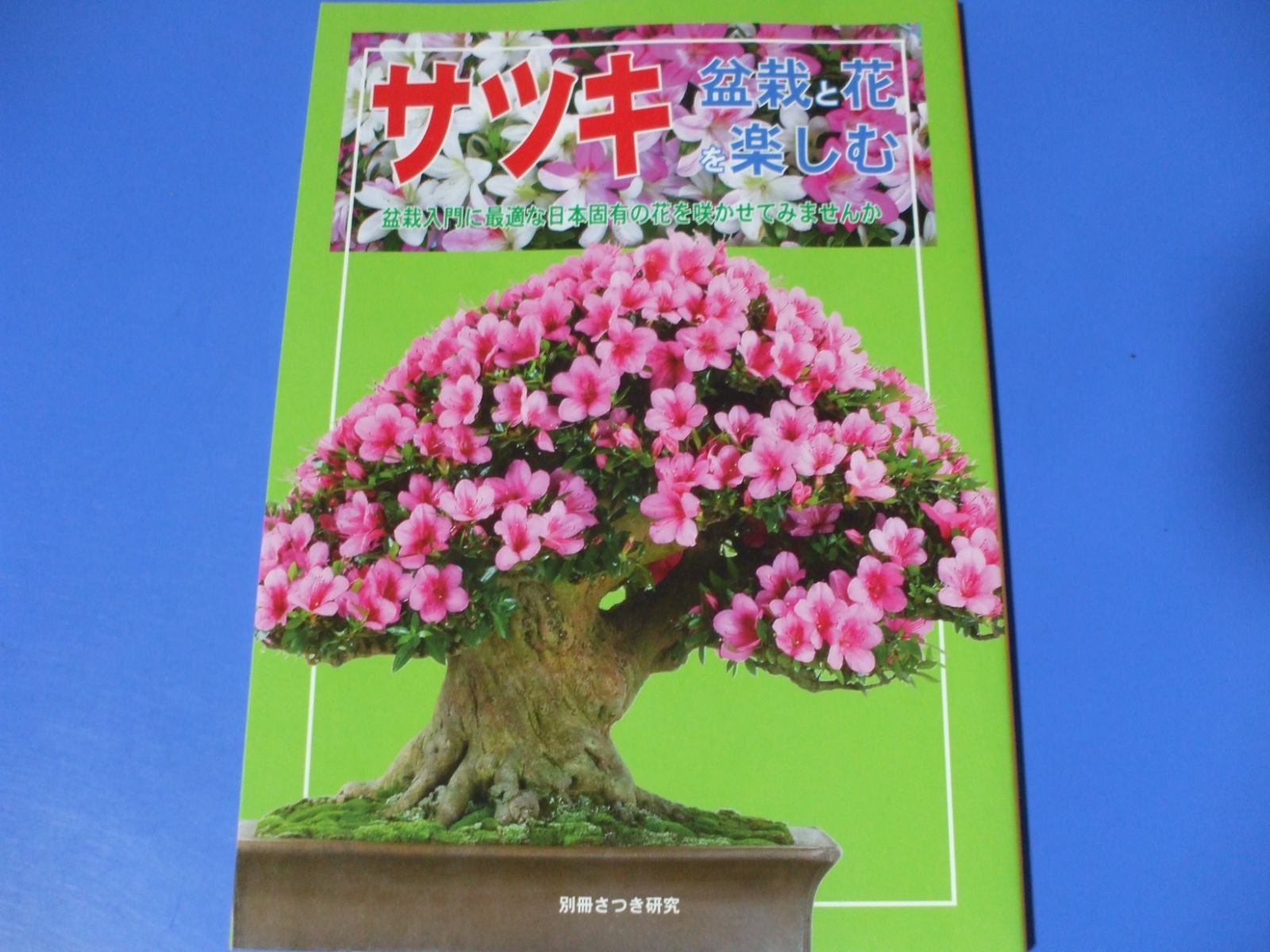 サツキ盆栽☆☆☆☆ 八咫の鏡・さつき盆栽 皐月盆栽 サツキ盆栽 - メルカリ