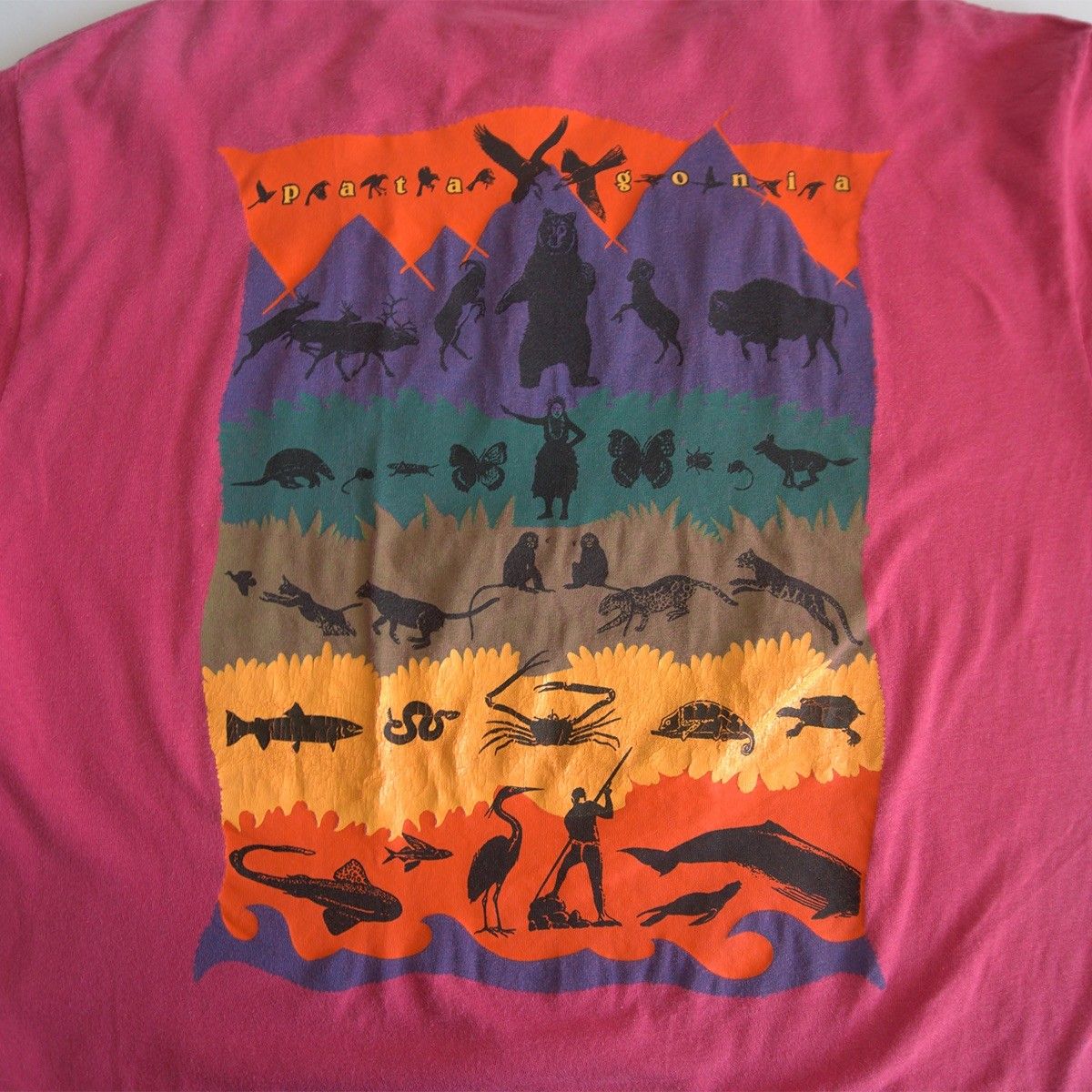 patagonia マゼンタ Tシャツ L 生態系　絶滅危惧種　キッズサイズ patagonia マゼンタ Tシャツ L 生態系 絶滅危惧種 キッズサイズ