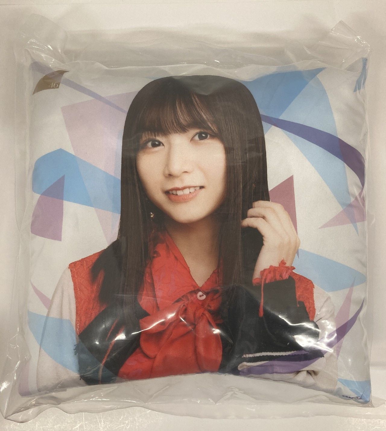 乃木坂46 福袋2021A 北野日奈子 個別クッション