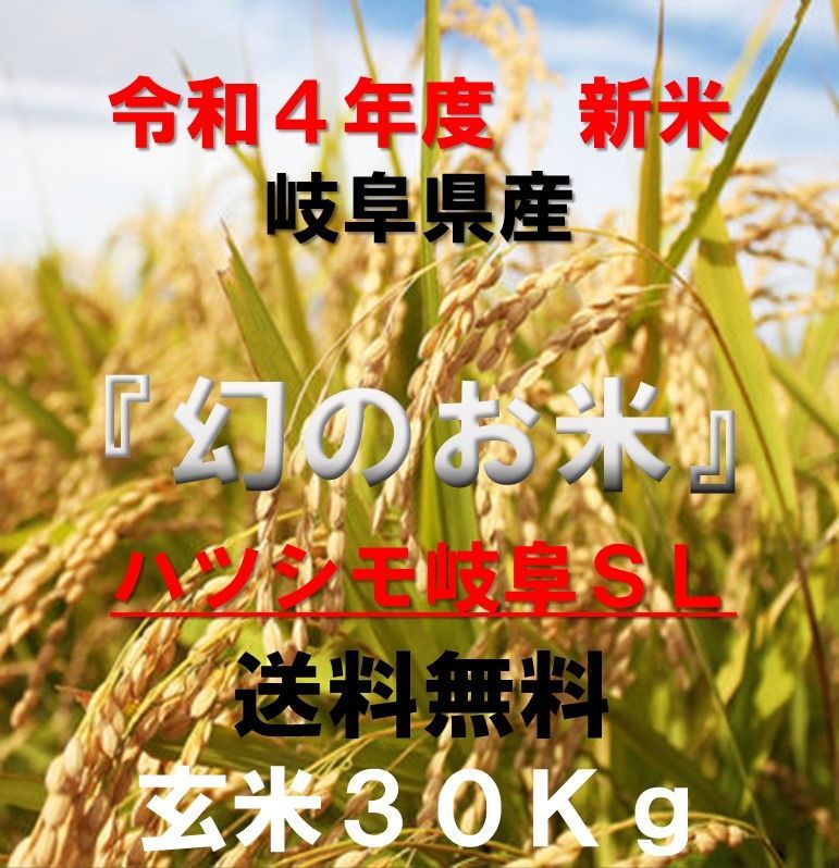 岐阜ブランド米 令和４年度『岐阜ハツシモ』 新米 玄米 30kg - メルカリ