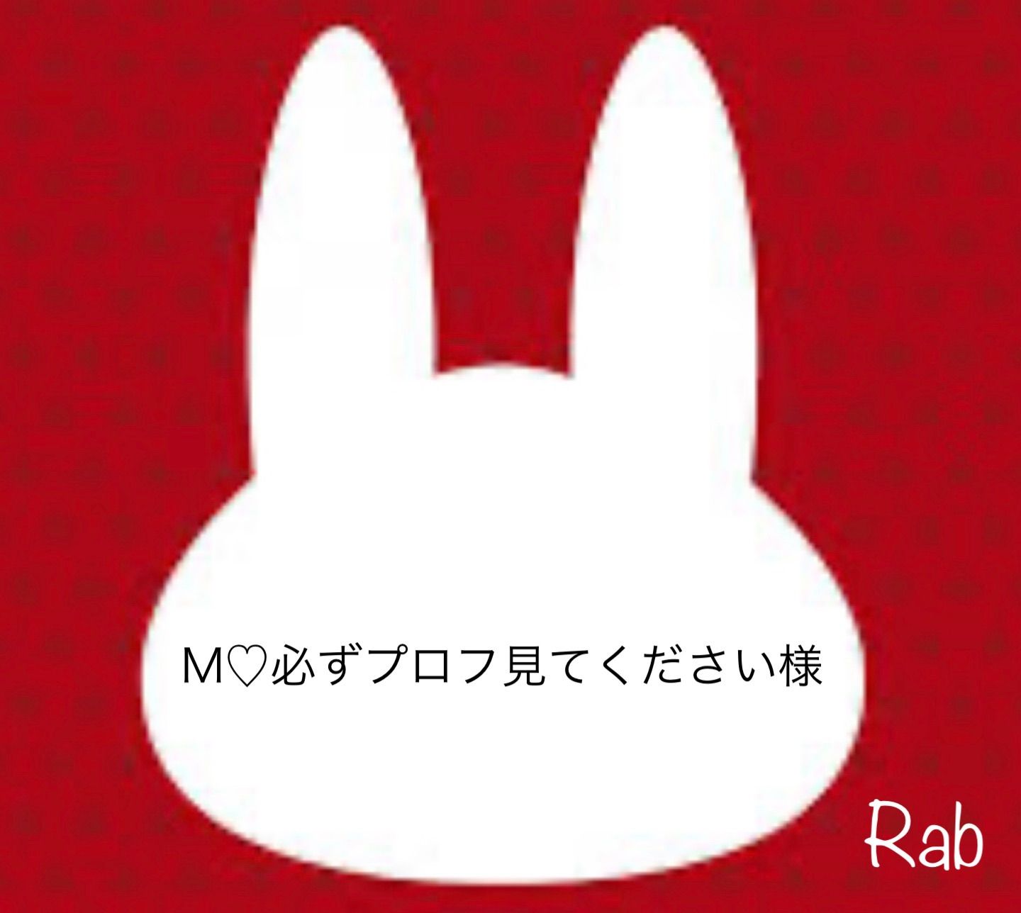 ＊＊☆プロフ必読☆＊＊　はち。＊.・*¨ 様　凄くレア　高品質　スコレサイト M♡必ずプロフ見てください様 - メルカリ