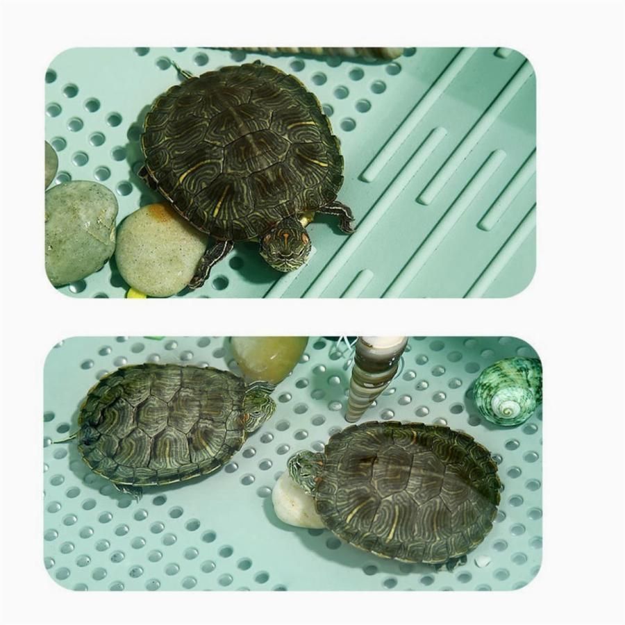 カメ 水槽 亀の水槽 65cm 大きい 飼育ケース タートルタンク カメ生息地 日向ぼっこ台 エサ皿 脱出防止フェンス カメ ミドリガメ ザリガニ STEELWINDOWSANDDOORS_COM