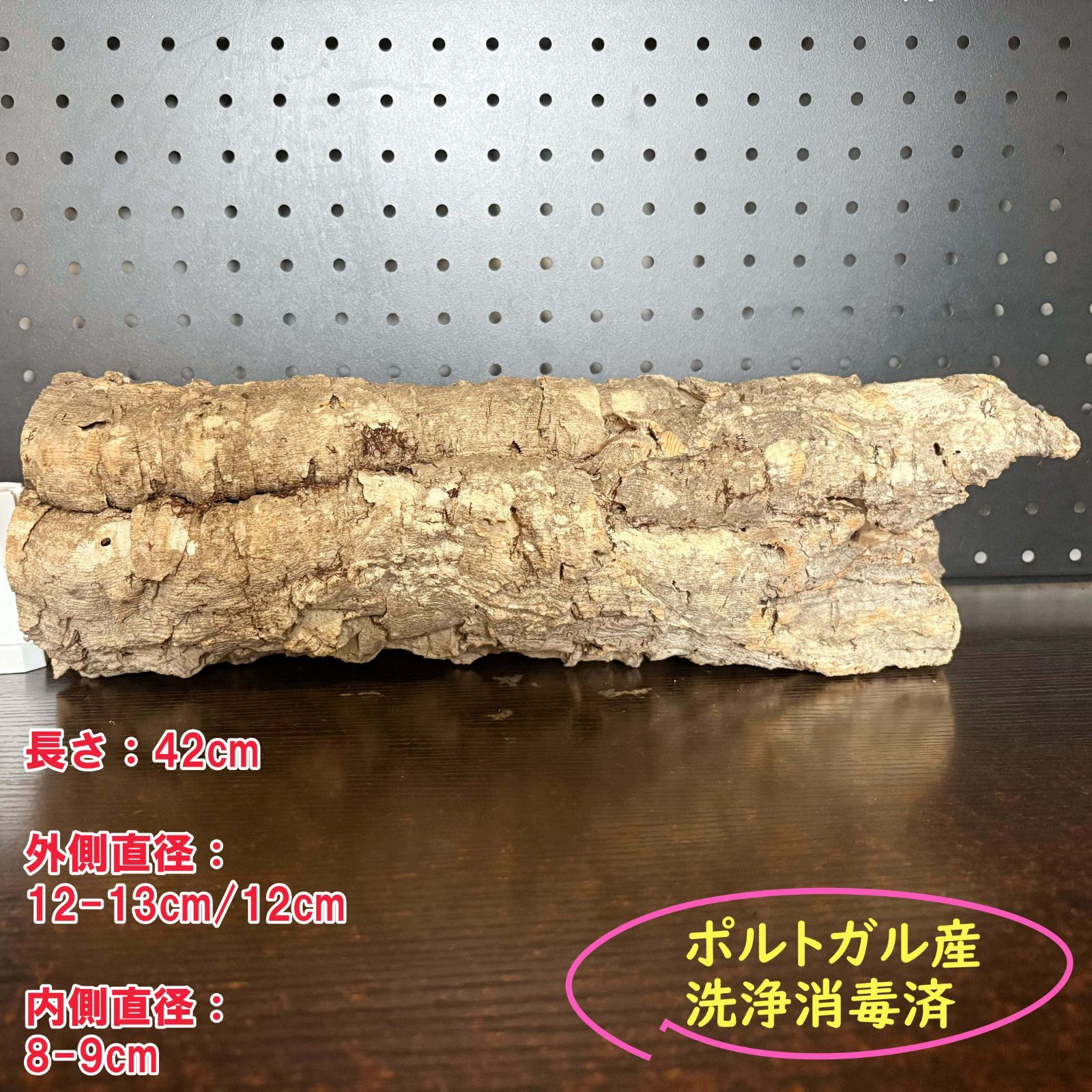 259S13 ポルトガル産 キャノンコルク コルク樹皮 コルク板 バージンコルク チランジア ビカクシダ 着生ラン 両生類 爬虫類