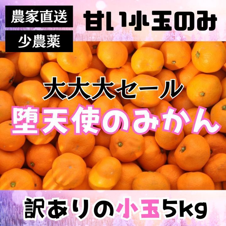 甘い！とにかく高いコスパ！数量限定！甘い 有田みかん5kg - 果物