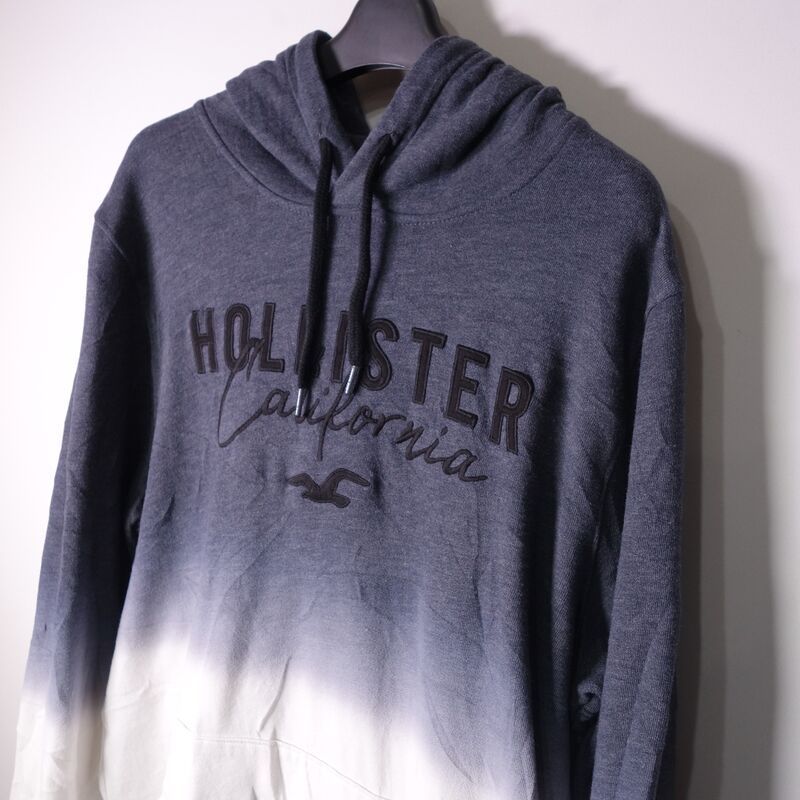 ホリスター Hollister スウェットパーカー メンズ M グラデーション